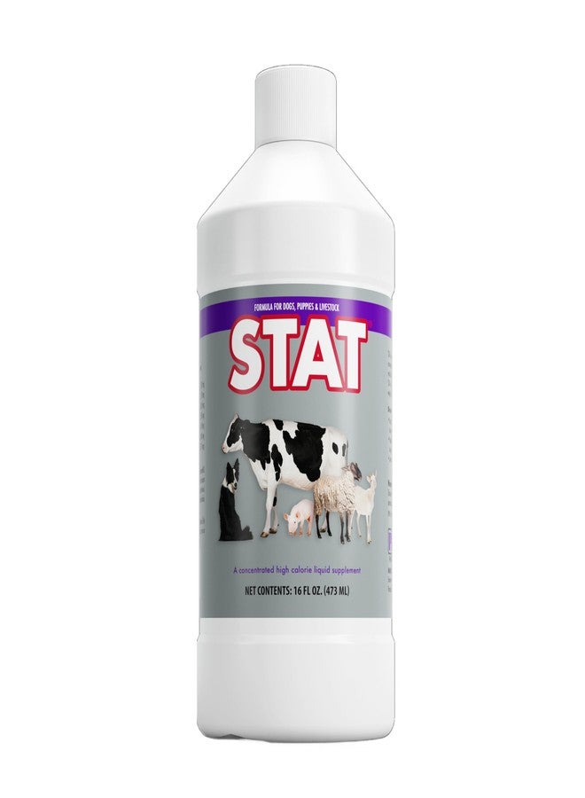 PRN Pharmacal STAT - High Calorie Nutritional Supplement to Help Restore Hydration & Nutrition Levels in Animals - Vanilla Flavored Dietary Support with Vitamin A, D3, C, E, & More - 16 Fl Oz - Image 1